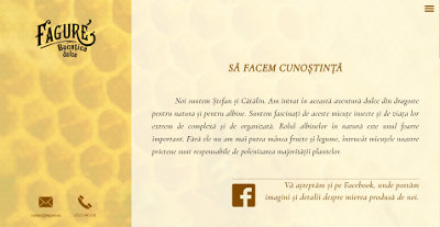 imagine website fagure